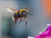 008 Joseph Gebhardt 5